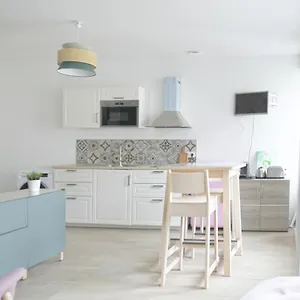  Appartement Magnifique Studio Cosy Refait Entièrement à Neuf France
